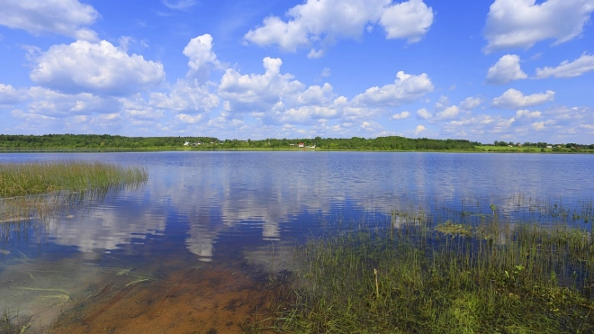 В Роспотребнадзоре назвали водоемы Ленобласти, где еще можно купаться