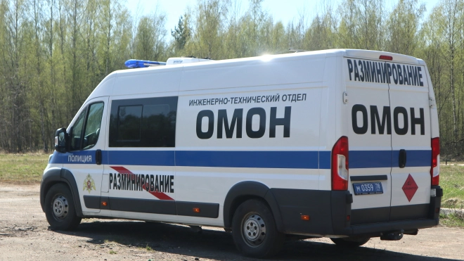 В Петербурге и Ленобласти взрывотехники ОМОН дважды за сутки обезвредили боеприпасы времён войны