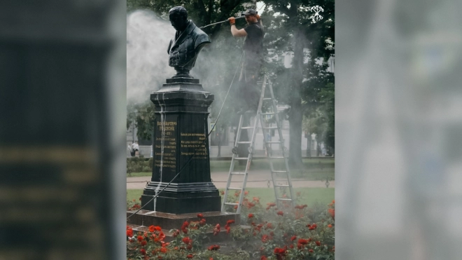Памятник Лермонтову в Петербурге помыли 400 литрами воды и покрыли воском