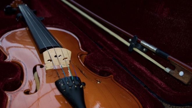 В Петербурге открылась V Всероссийская выставка скрипичных мастеров