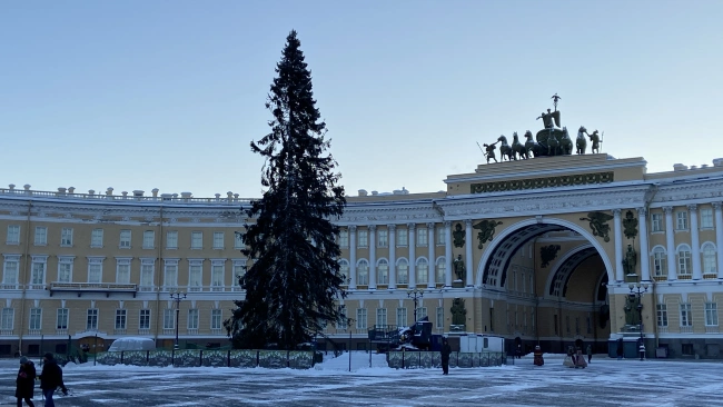 На Дворцовой площади установили главную ель Петербурга 