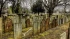 На порталах госуслуг могут ввести реестры мест на кладбищах к 2026 году