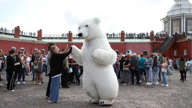 Арктические мероприятия собрали более 126 тыс. посетителей в Петербурге за год
