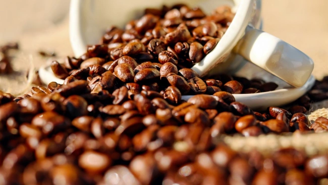 Цена на кофе сорта робуста выросла на 40%