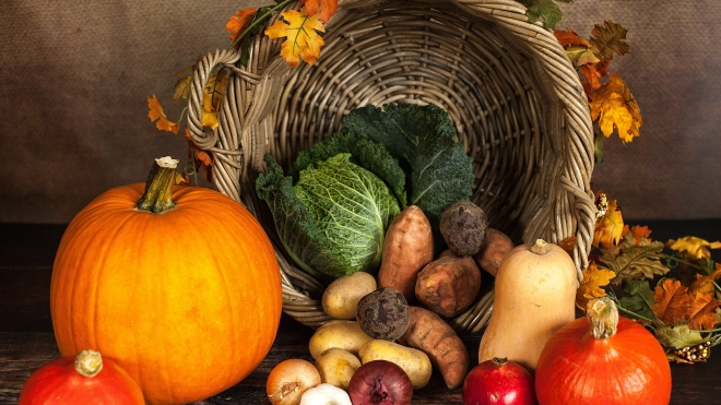 Петербуржцам рассказали, какие овощи и фрукты нужно есть осенью