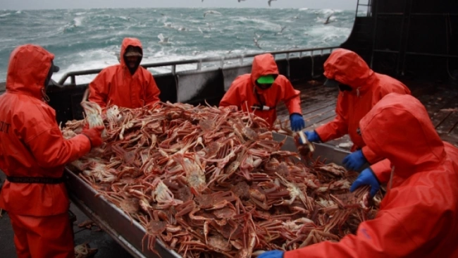 Из-за сакций российская рыбная отрасль столкнулась с падением прибыли