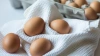 Глава X5 объяснила рост цен на яйца птичьим гриппом ...