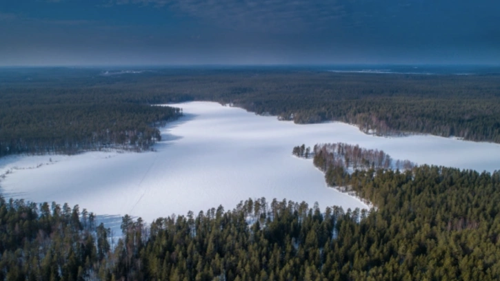 Стали известны причины создания лыжной трассы в заказнике "Озеро Щучье" 