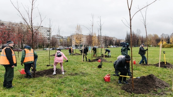 На озеленение 15-ти районов Петербурга в 2023 году готовы направить 2,5 млрд рублей  