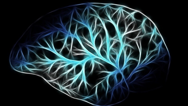 Ученые выяснили, что мозг человека способен предсказывать будущее 