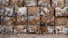 В Ленобласти усилят контроль за оплатой вывоза мусора