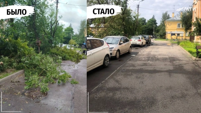 Петербургские дворы убрали после шторма 4 июля