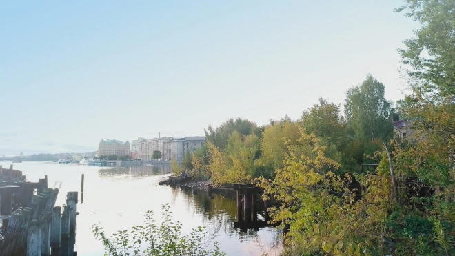 В Петербурге оказался под угрозой срыва проект строительства дороги на месте парка "Заросли"