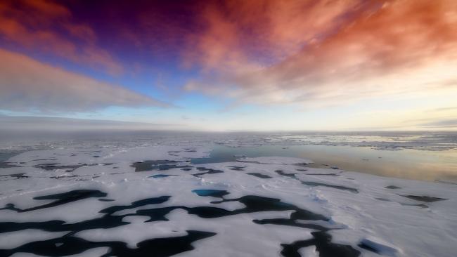 Ученые Петербурга получат грант на разработку уникальной телекамеры для Арктики