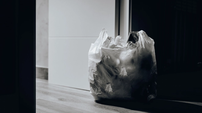 В Ленобласти запустили онлайн-сервис для проверки легального вывоза мусора из СНТ