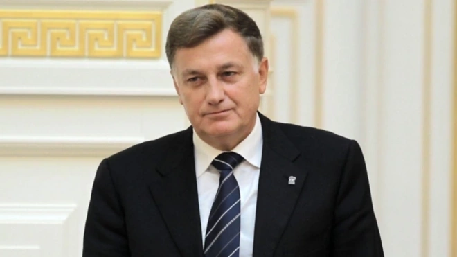 Спикер парламента Петербурга ждет отставки члена Горизбиркома Марины Ждановой