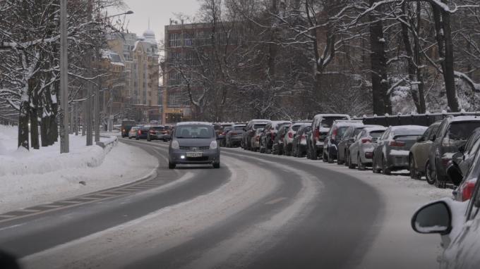 Вице-губернатор Петербурга поручил активизировать уборку пешеходных маршрутов в зеленых зонах
