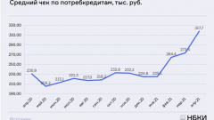 В апреле средний размер потребкредита в России впервые стал выше 310 тысяч рублей