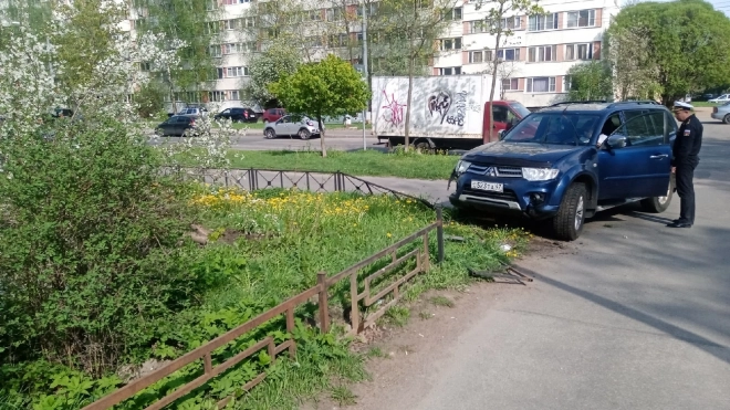 На улице Есенина дама за рулем "Митцубиси" снесла забор и вишню