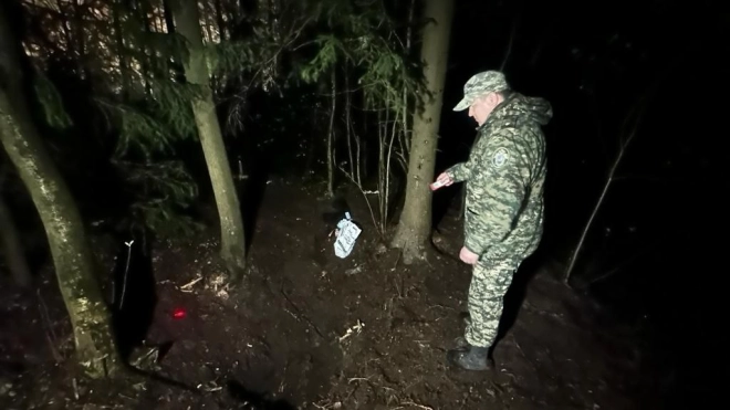 СК показал кадры с места убийства семиклассницы в лесу в Парголово