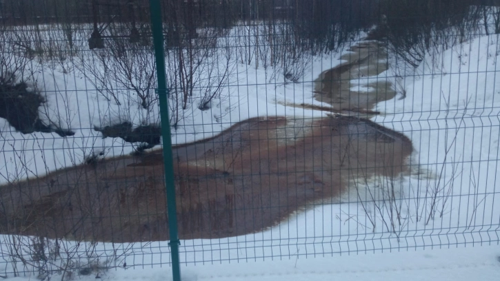 Росприроднадзор не нашел следов загрязнения в реке Охте 