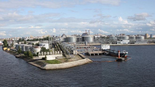 Большой порт из Петербурга могут перенести в Усть-Лугу