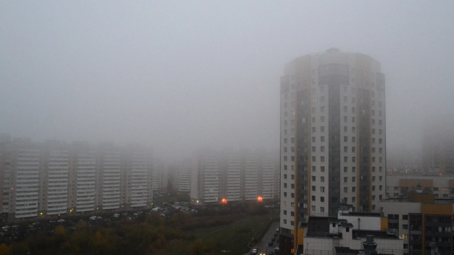 В Петербурге 27 октября будет на 5-6 градусов выше климатической нормы
