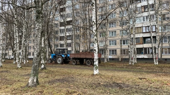 Петербуржцам разъяснили, куда обращаться при плохой уборке дворов