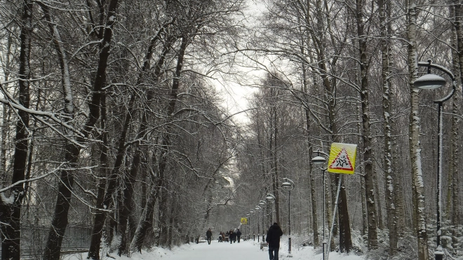 В Петербурге пройдет реконструкция Удельного парка