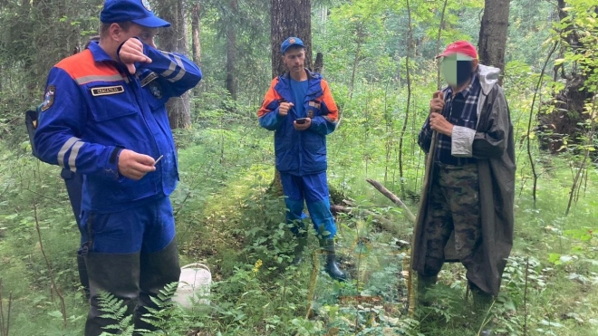 В Ленобласти с начала 2023 года в лесах потерялись более 600 человек