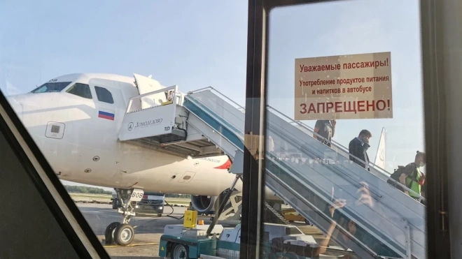 В Пулково самолет "Петербург — Уфа" пришлось посадить из-за птицы