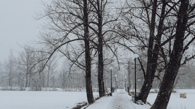 Небольшой мороз и снегопад обещают в Петербурге 18 февраля