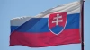 Словакия не исключила покупки российского газа за рубли