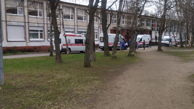 Школьницы пожарили фарш на моющем средстве в Калининском районе