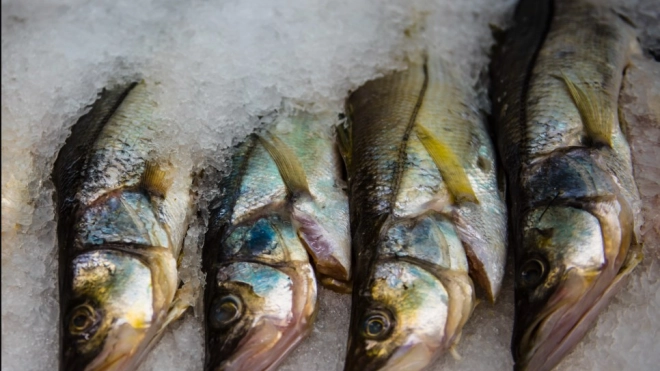 В Петербурге мошенники украли 20 тонн замороженной рыбы