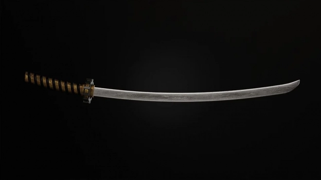В Ленобласти мужчина ударил жену в грудь сувенирным японским мечом