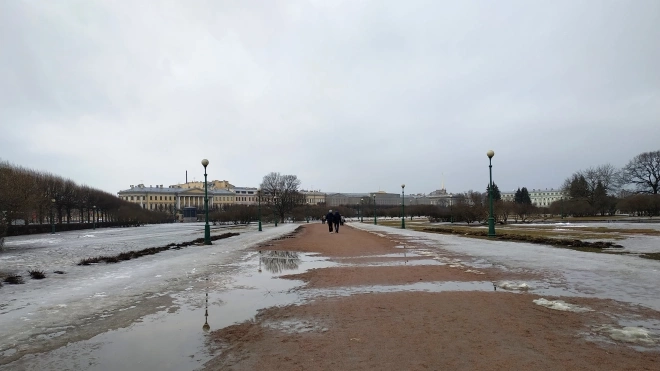 Стало известно, когда в Петербурге выпадет мокрый снег