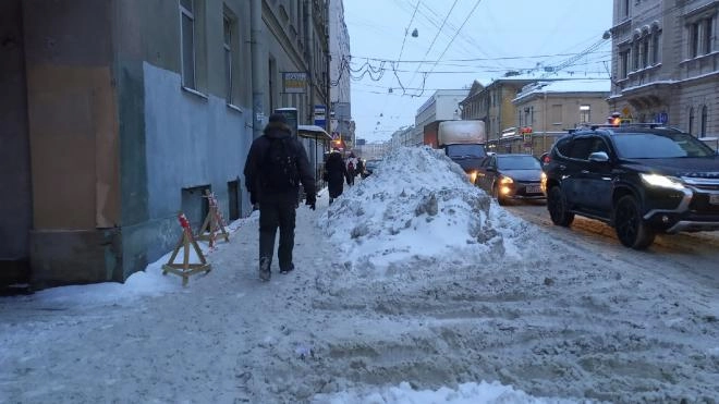 В Петербурге почти в пять раз вырос спрос на снегоуборщиков