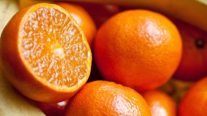 В Петербург привезли 25,4 тонны апельсинов с личинками насекомого