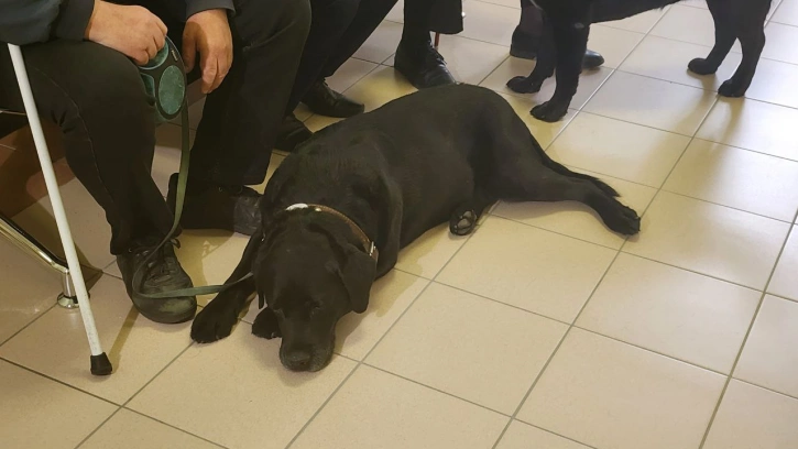 Незрячим петербуржцам теперь можно ездить в метро с собаками-поводырями без намордников