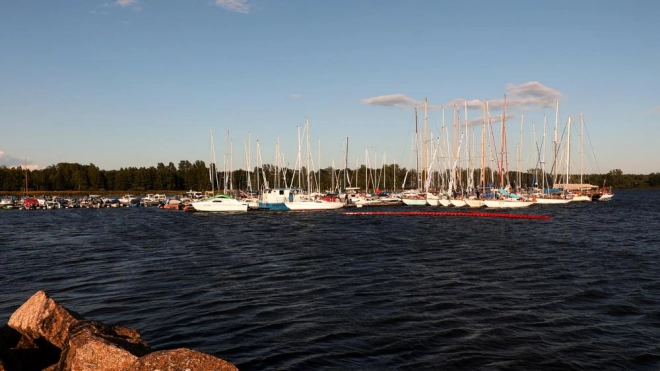 В Выборгском районе чествовали участников международной регаты "Балтийский ветер"