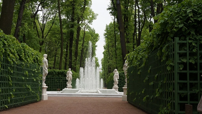 Петербурженку возмутили купающиеся в фонтане Летнего сада дети