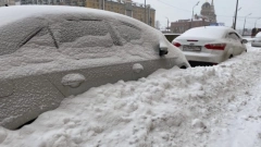 В ЗакС Петербурга планируют создать "тепловые карты" по уборке города от снега и мусора
