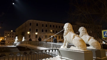 Скульптуры львов на Львином мосту получили художественную ...