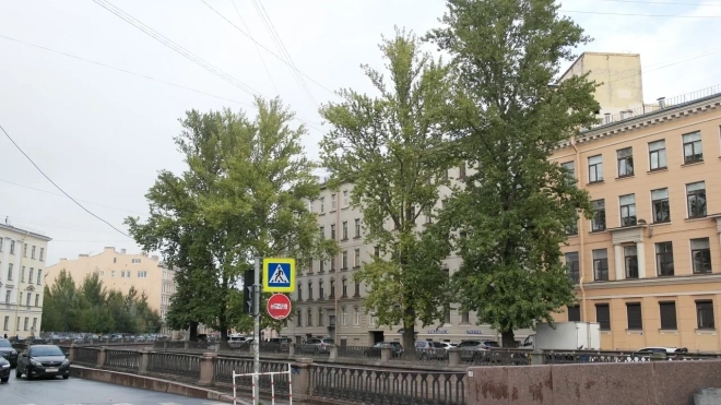 В понедельник в Петербурге установится прохладная и сухая погода