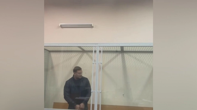 В Петербурге арестовали владельца фирмы по делу о торговле органами