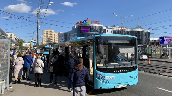 Автобусы сразу по четырём маршрутам Петербурга стали ходить чаще