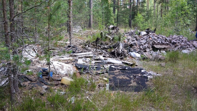 Прокуратура добилась очистки леса от гор мусора во Всеволожском районе