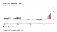 Destatis: цены производителей в Германии в июле выросли максимально за 45 лет