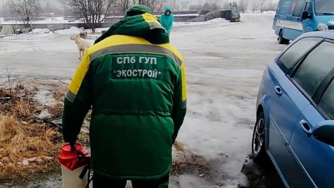 Более 270 обращений поступило в экологические службы Петербурга за неделю